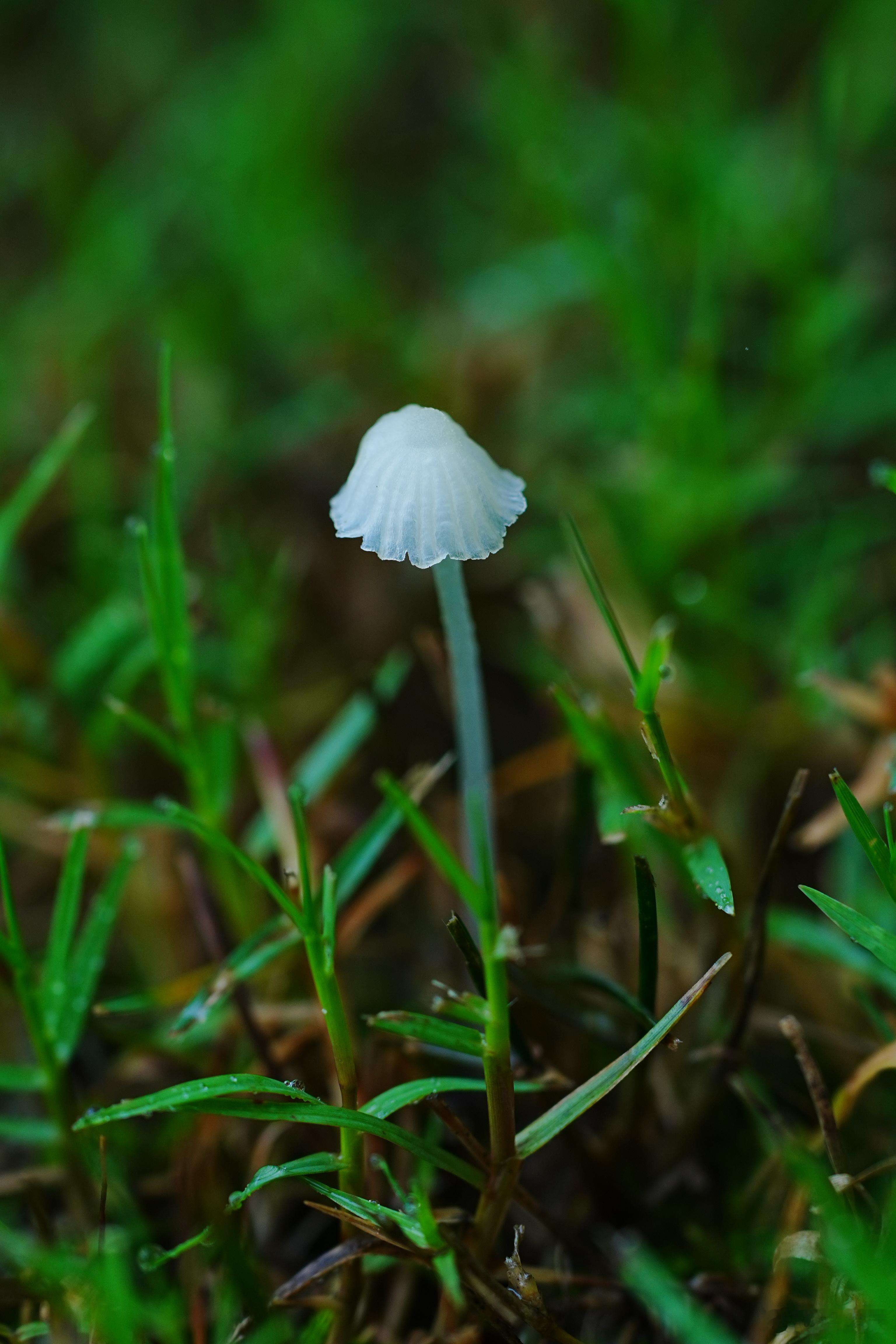 晚安，世界。蜗的摄影日记摄影分享​​​
