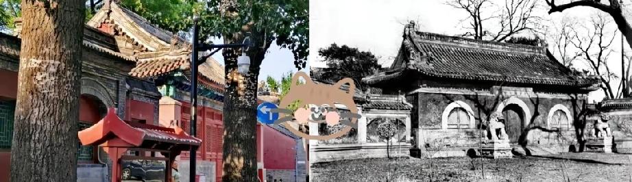 因为吵架急眼飙出的一句日语，直接牵出了一桩惊天大案。就在法雨寺里。这俩日本和尚