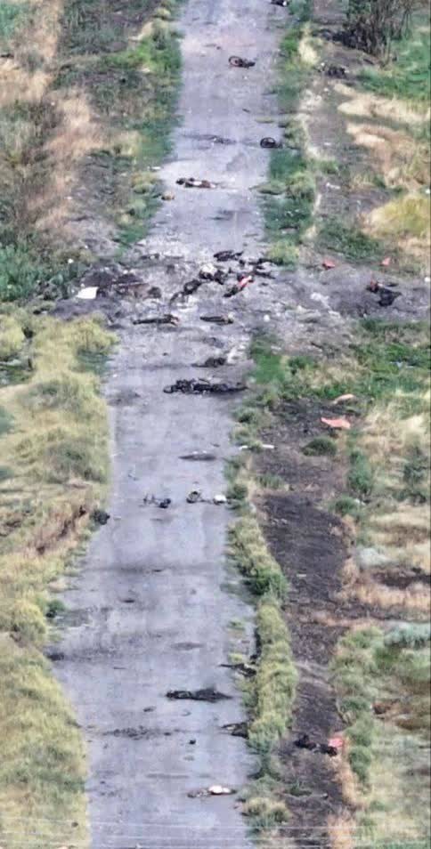 在乌克兰东部波克罗夫斯克路上的俄军。厉害，俄罗斯每天在自媒体里大量死亡，