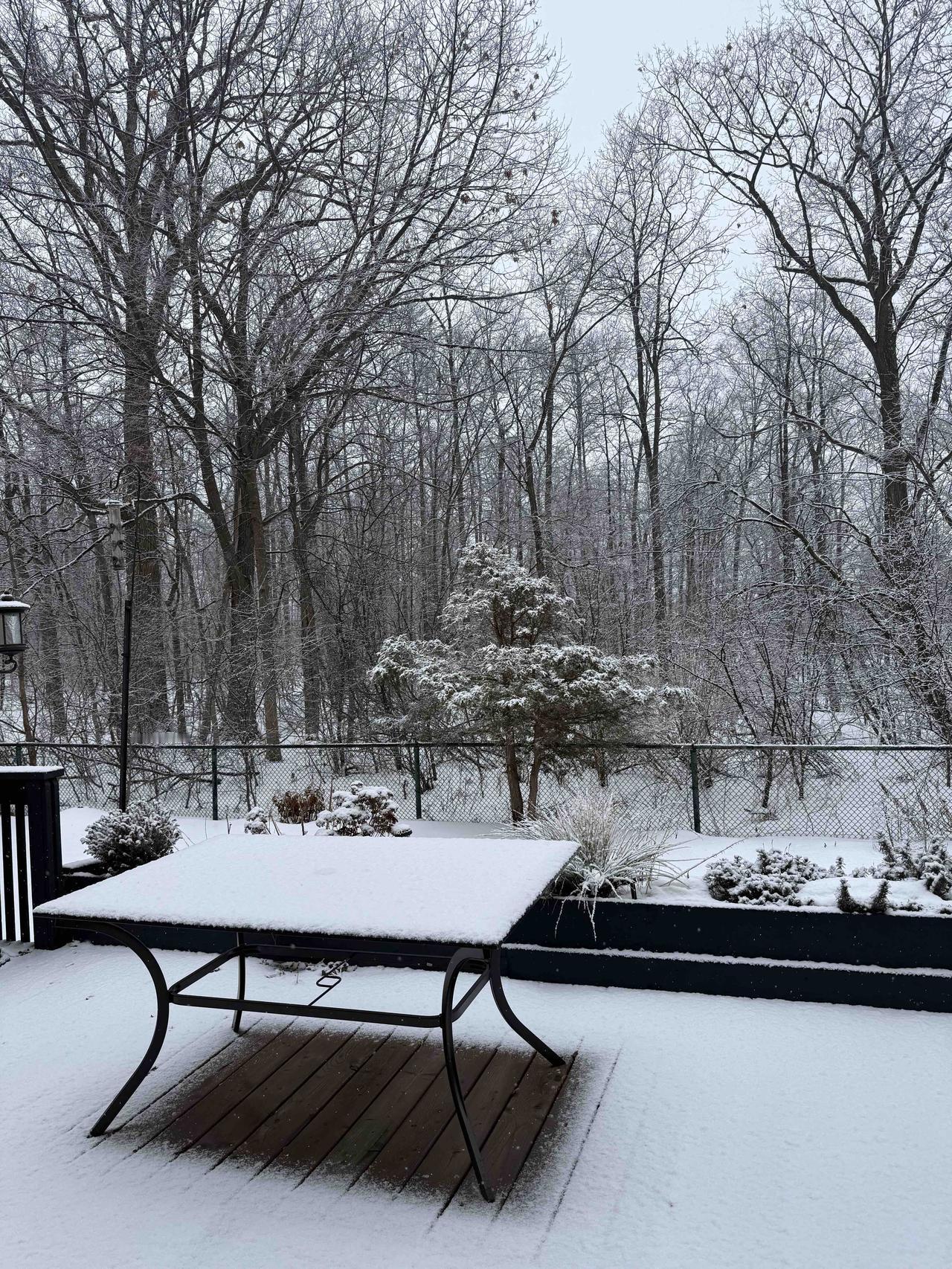 昨天给老家弟弟发信息，问他今年过年热不热闹：他说：农村没有往年热闹！说很多家里在