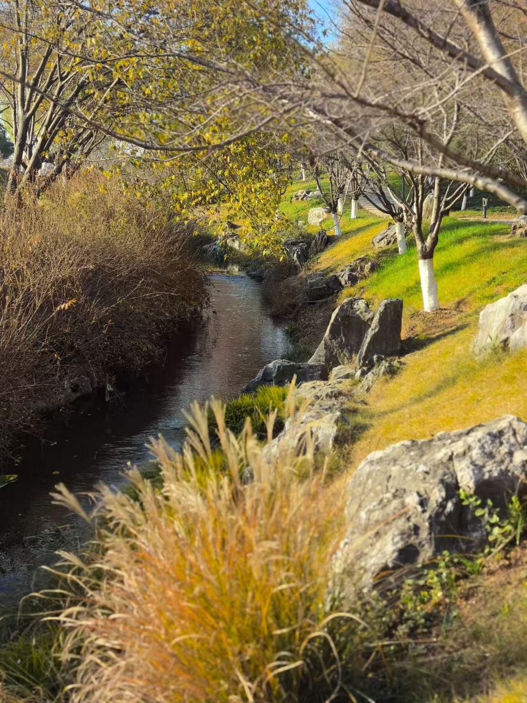 冬日秋色随手拍一张夕阳西下的美景用一张图片展示你最美的家乡