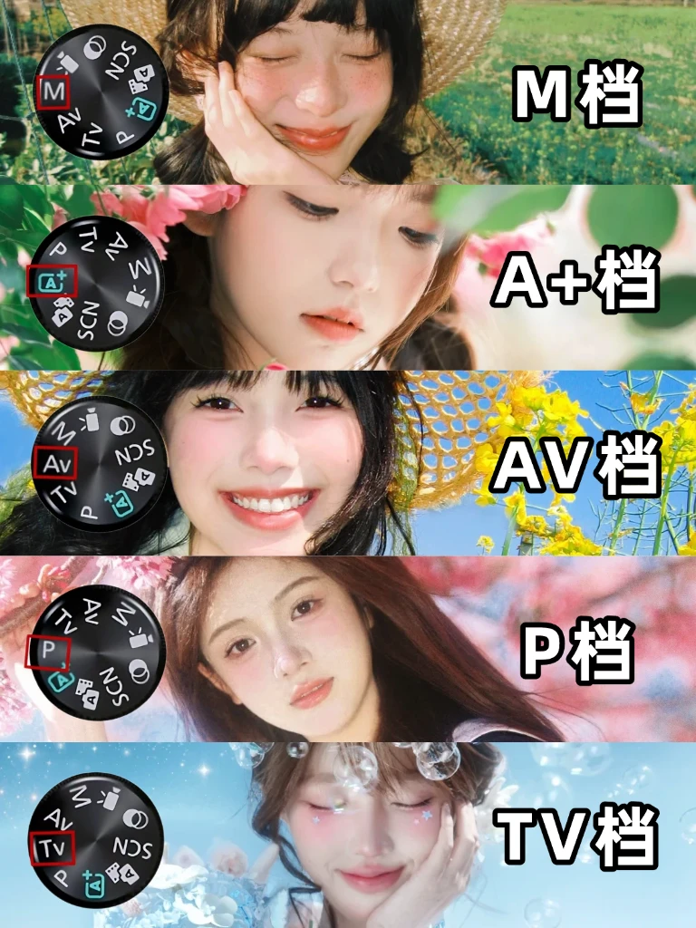 当我搞懂了5大相机档位！！