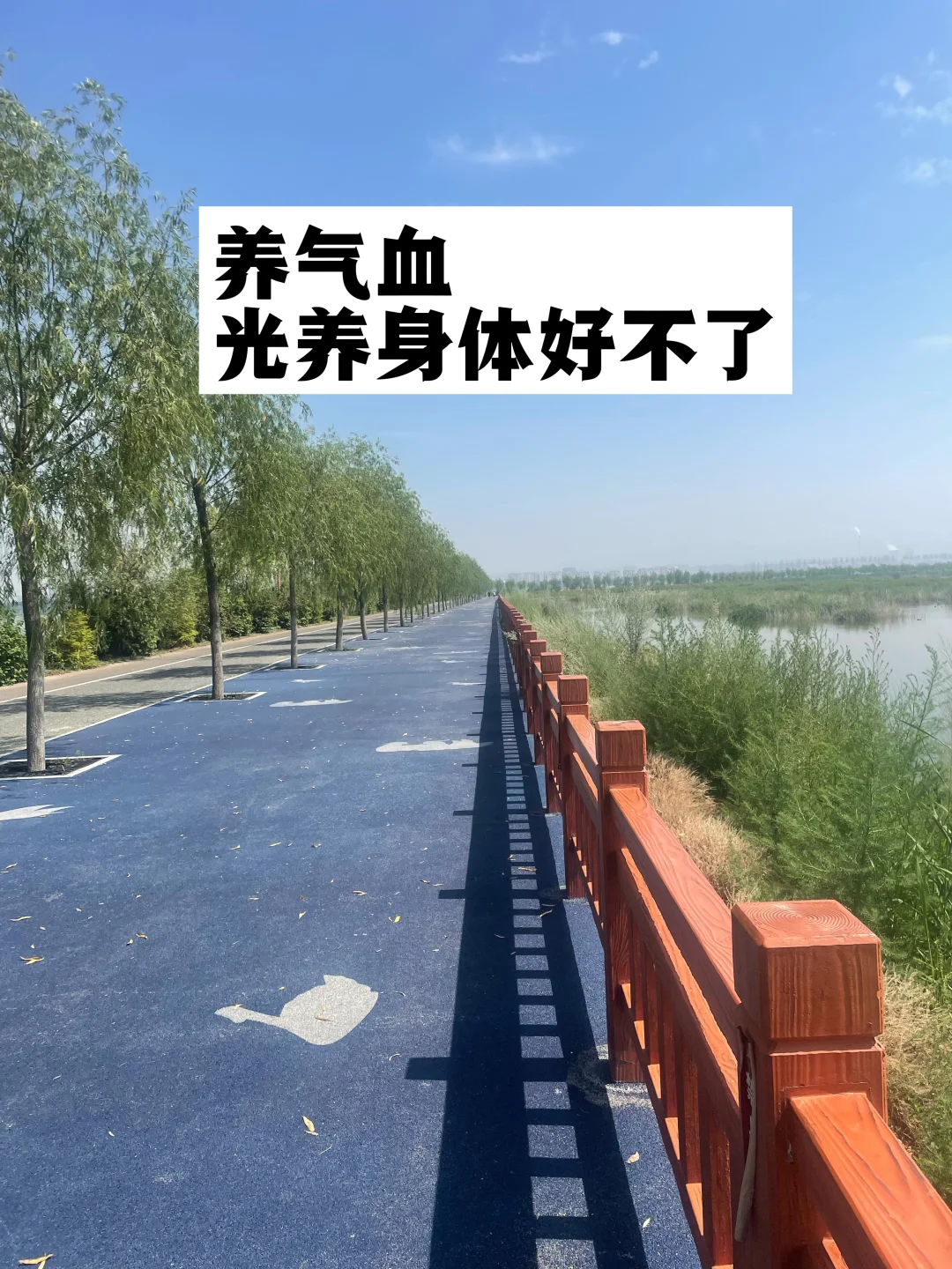 养气血，光养身体好不了！