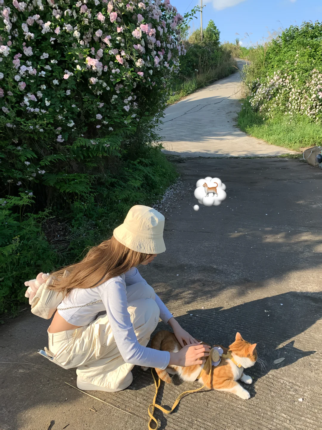 带emoji小猫晒太阳🐈🌤️🌳