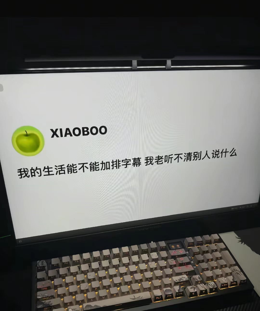 我的生活能不能加排字幕我老听不清别人说什么