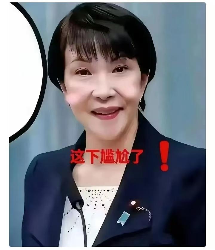 不接待，日本访华了日本这次是带着日中经济协会考察团于5月11日开始为期5天的