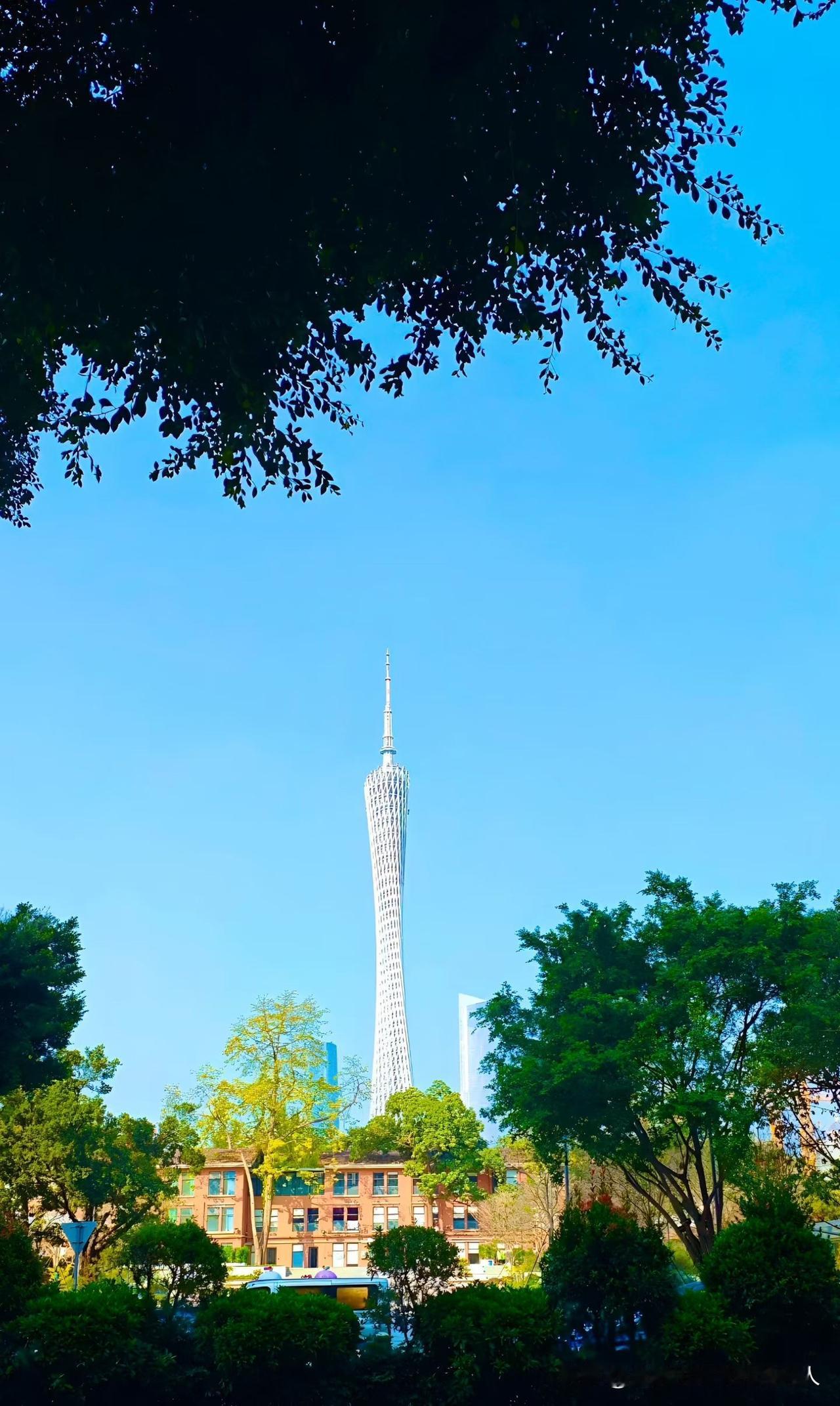 昨天去社保中心把我上个月生成的灵活就业医保510.8元撤销了，实在是没办法，失业