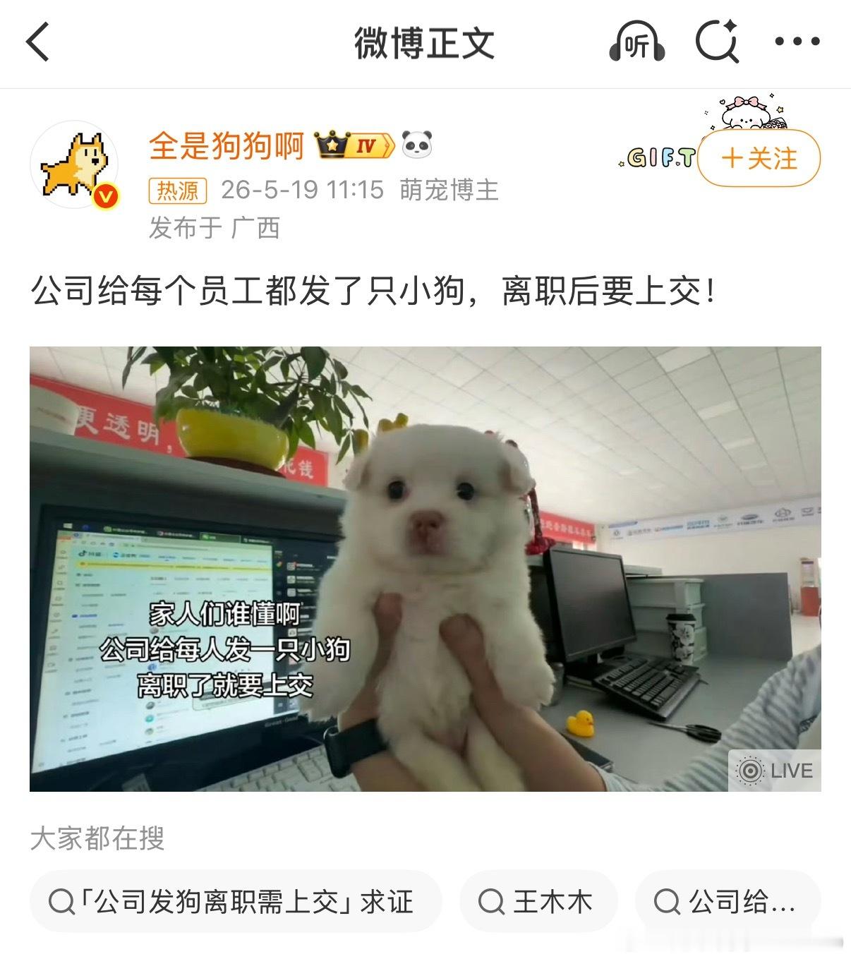 离职要上交公司小狗挟狗子以令牛马啊哈哈哈哈哈