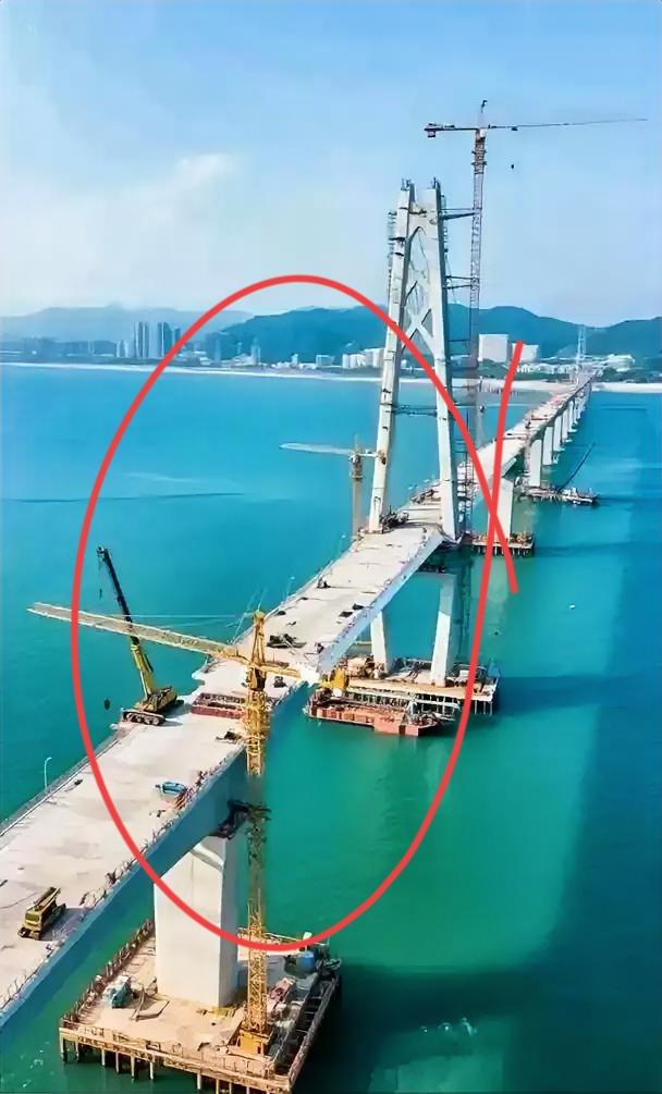 最近去厦门海边玩，看到工地围挡上写着“厦金大桥海上段吊装中”，手机刷到新闻说20