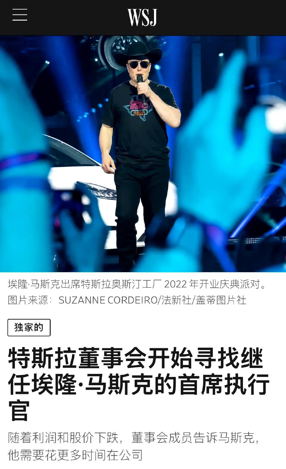 据华尔街日报报道：因为埃隆.马斯克在政府效率部得罪了很多人，导致特斯拉利润和股价