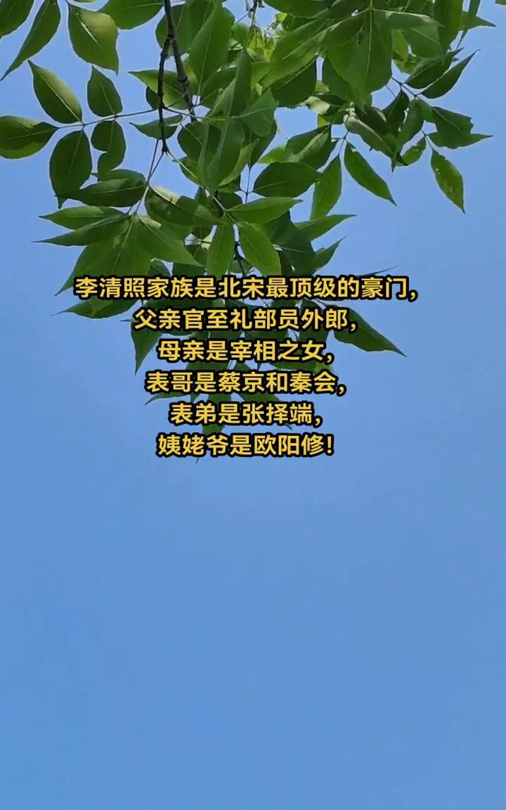 李清照家族是北宋最顶级的豪门，父亲官至礼部员外郎，母亲是宰相之女，表哥是蔡京和秦