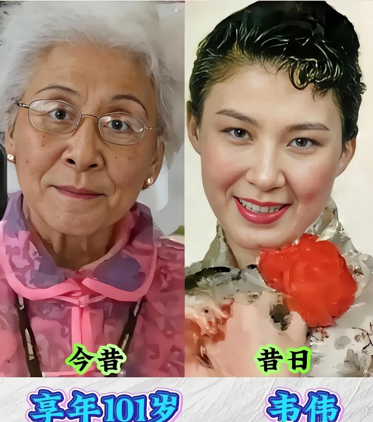 韦伟、陈奇、鲍国安、王学圻等一众老艺术家，深耕荧幕一辈子。不靠流量炒作，凭扎实