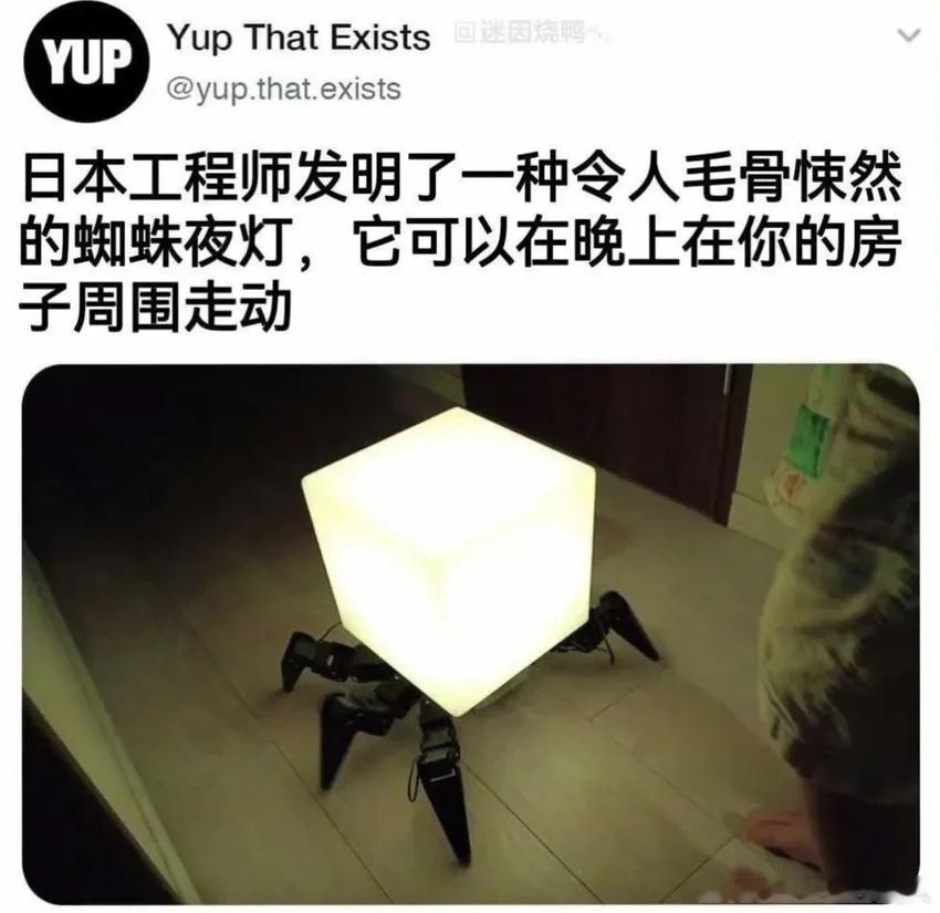 天才设计师