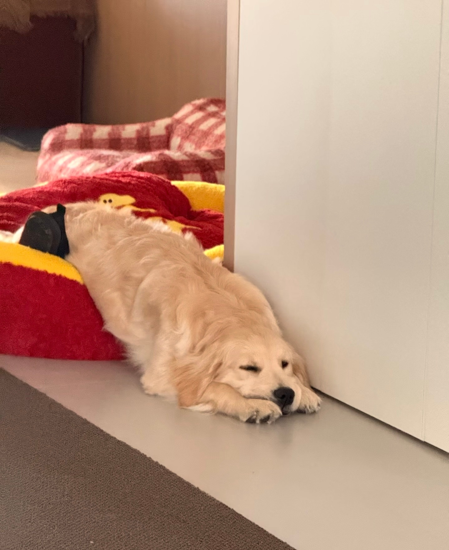 怎么过年比平时还累