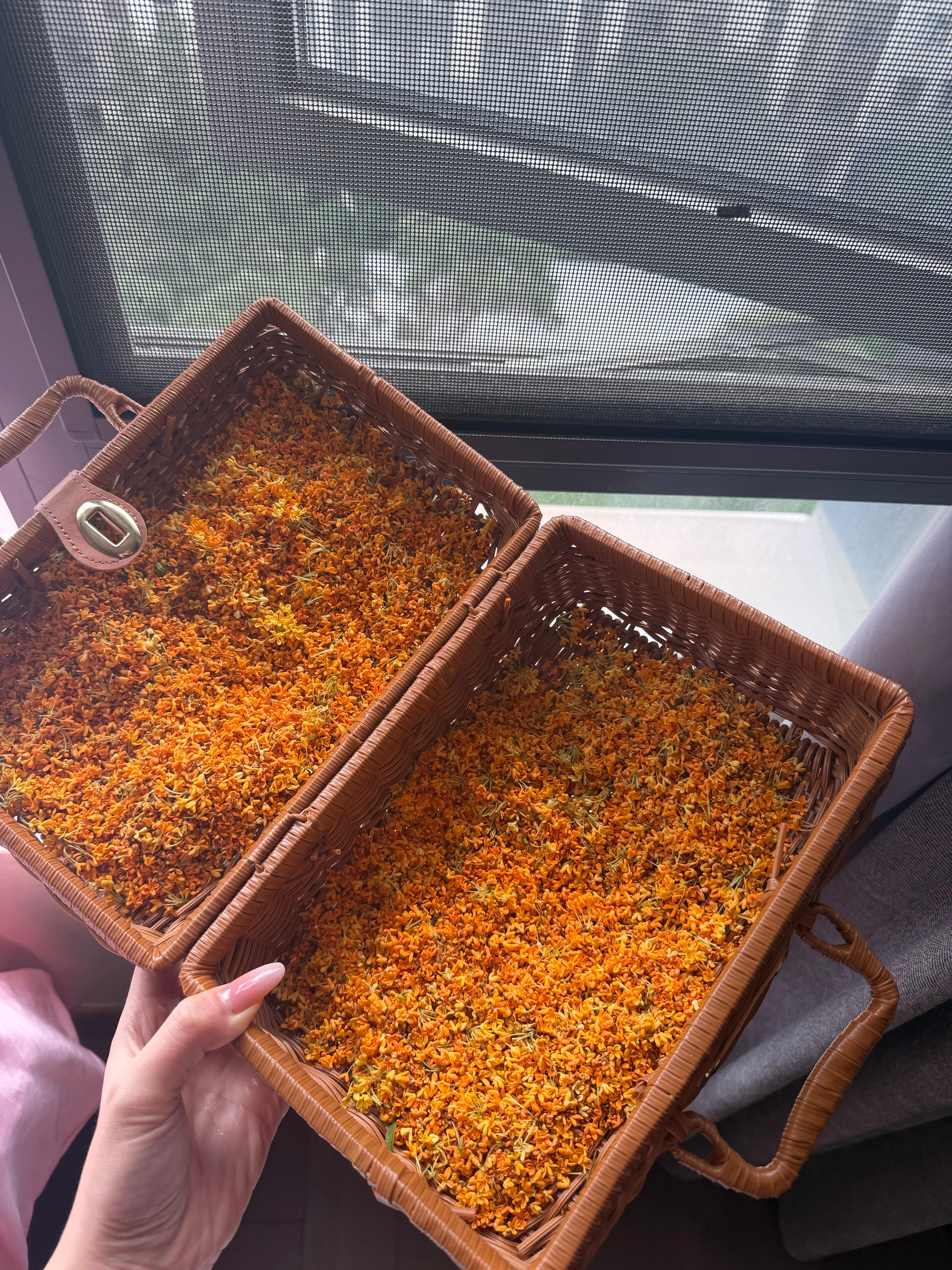 桂花是秋天的第一场雨​​​