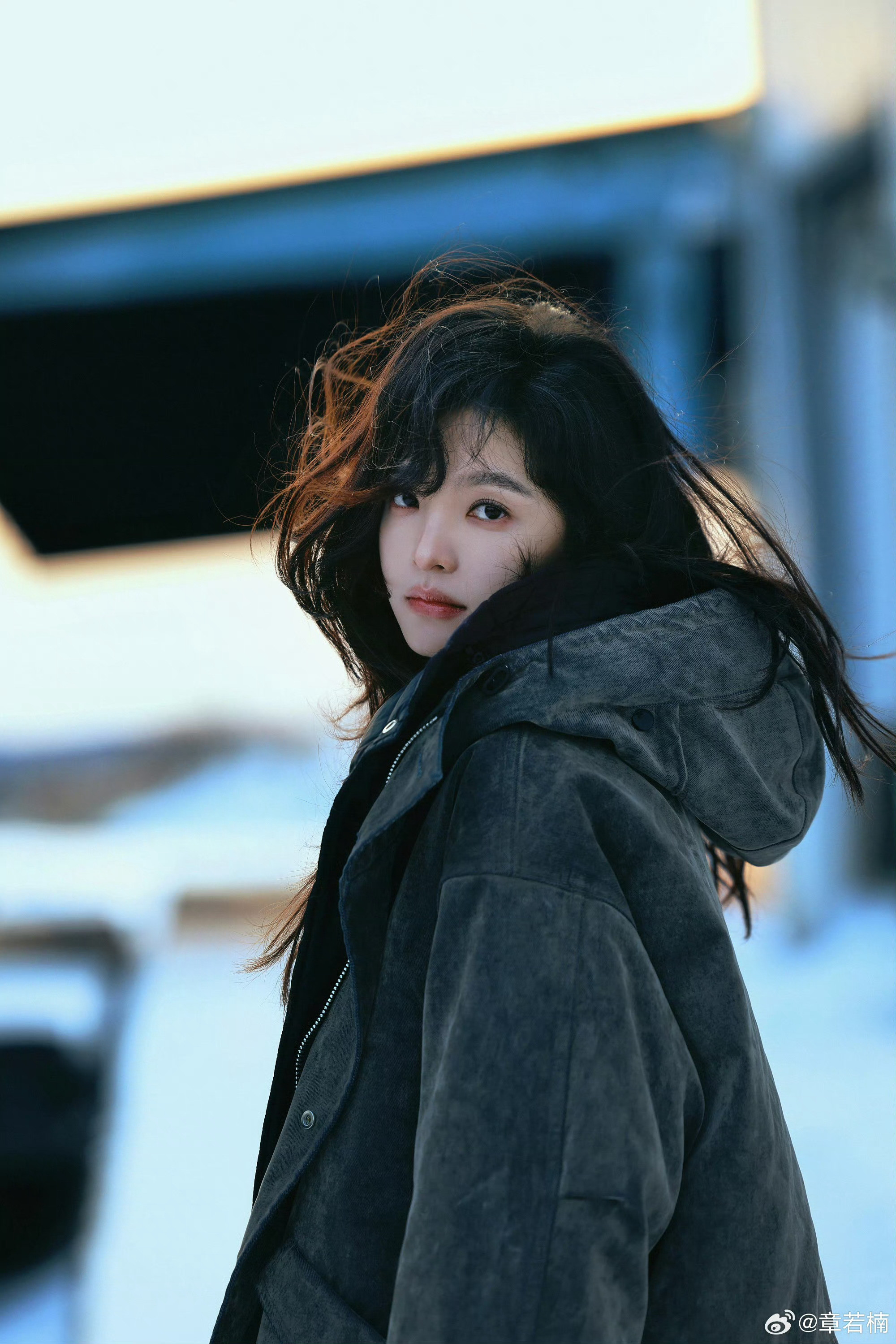 其实章若楠也符合我心中末世文女主的样子
