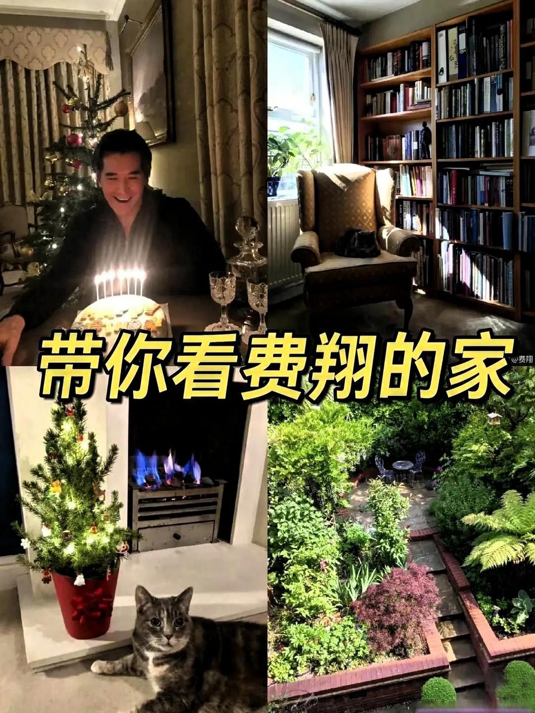 费翔家院照曝光：64岁的生活美学与书香人生的惊艳展现！当费翔家院子照片流出时