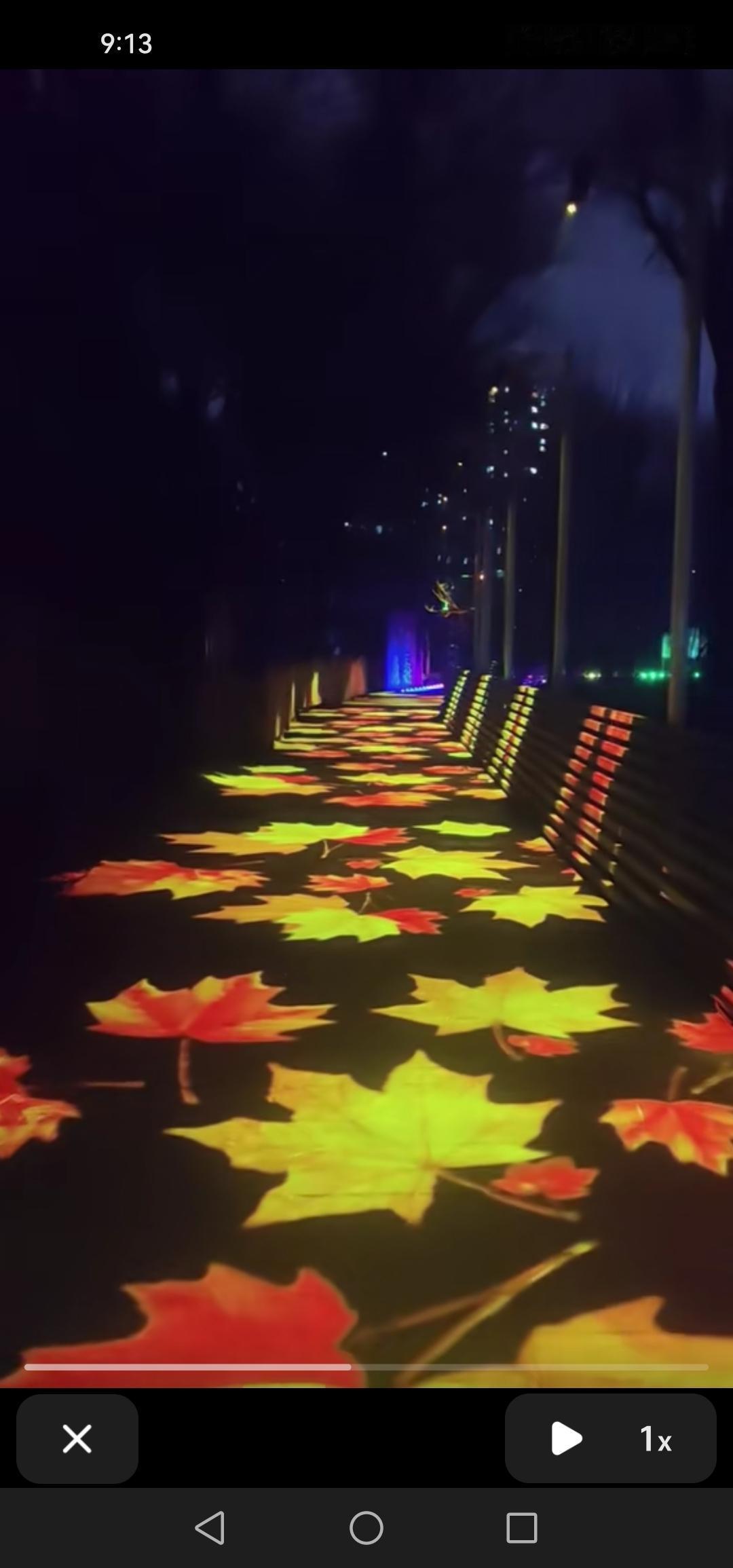 吉林市长白岛湿地公园的夜景亮化全面升级，简直美轮美奂！吉林长白岛的湿地公园正