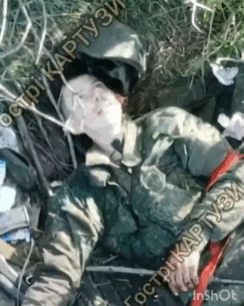 1名士兵在波克罗夫斯附近没有完成组织交代的任务，即将被“去军事化”。苍蝇在周围嗡
