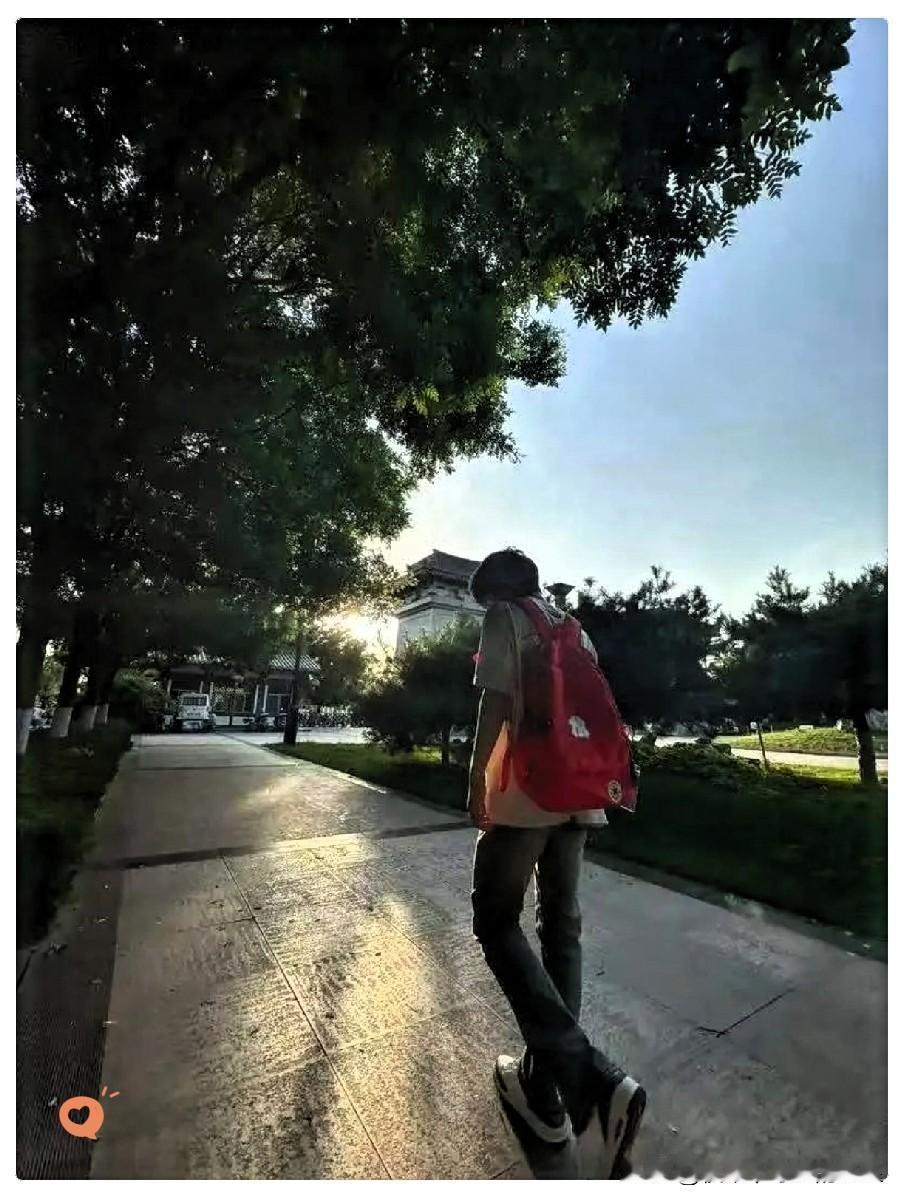 太可惜了！我有个老朋友，他家三代从医，昨天他告诉我，他孙子，高三，辍学了。