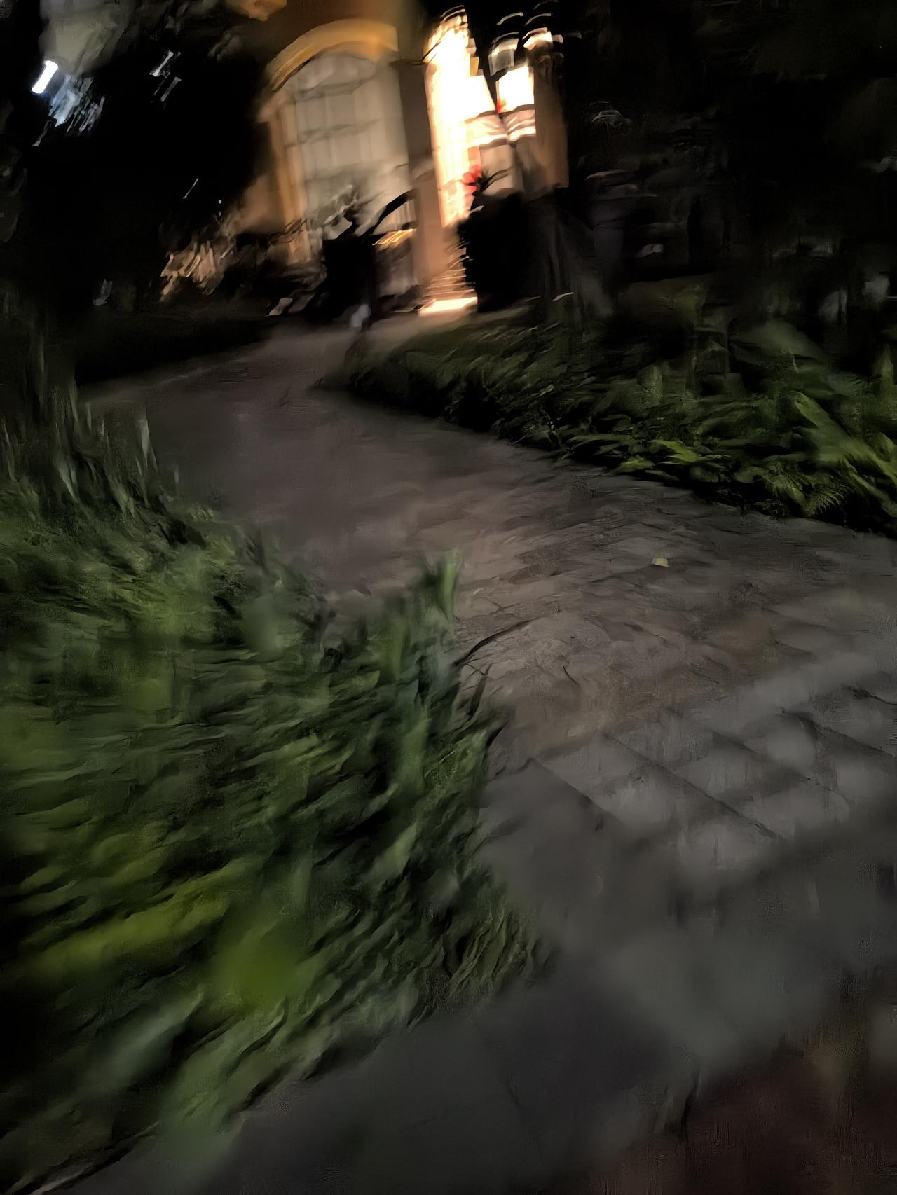 最近深圳经常有蛇出没，晚上也不敢出去公园散步了，只能在小区里面走一走。这黑灯