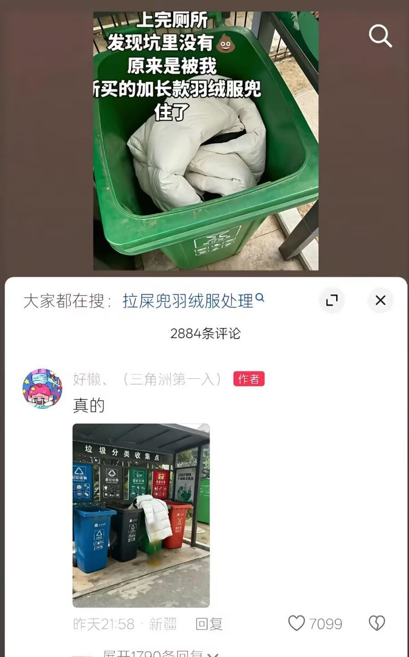 每天上网都能看到很多新鲜事