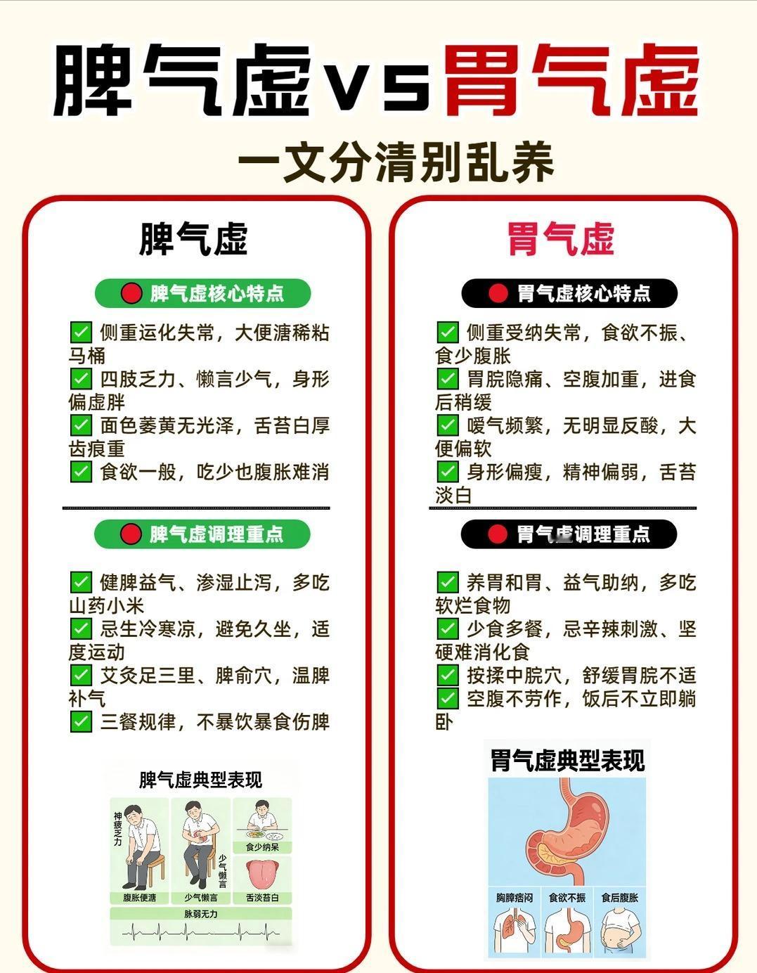 脾气虚和胃气虚别再混淆！教你简单分清二者区别