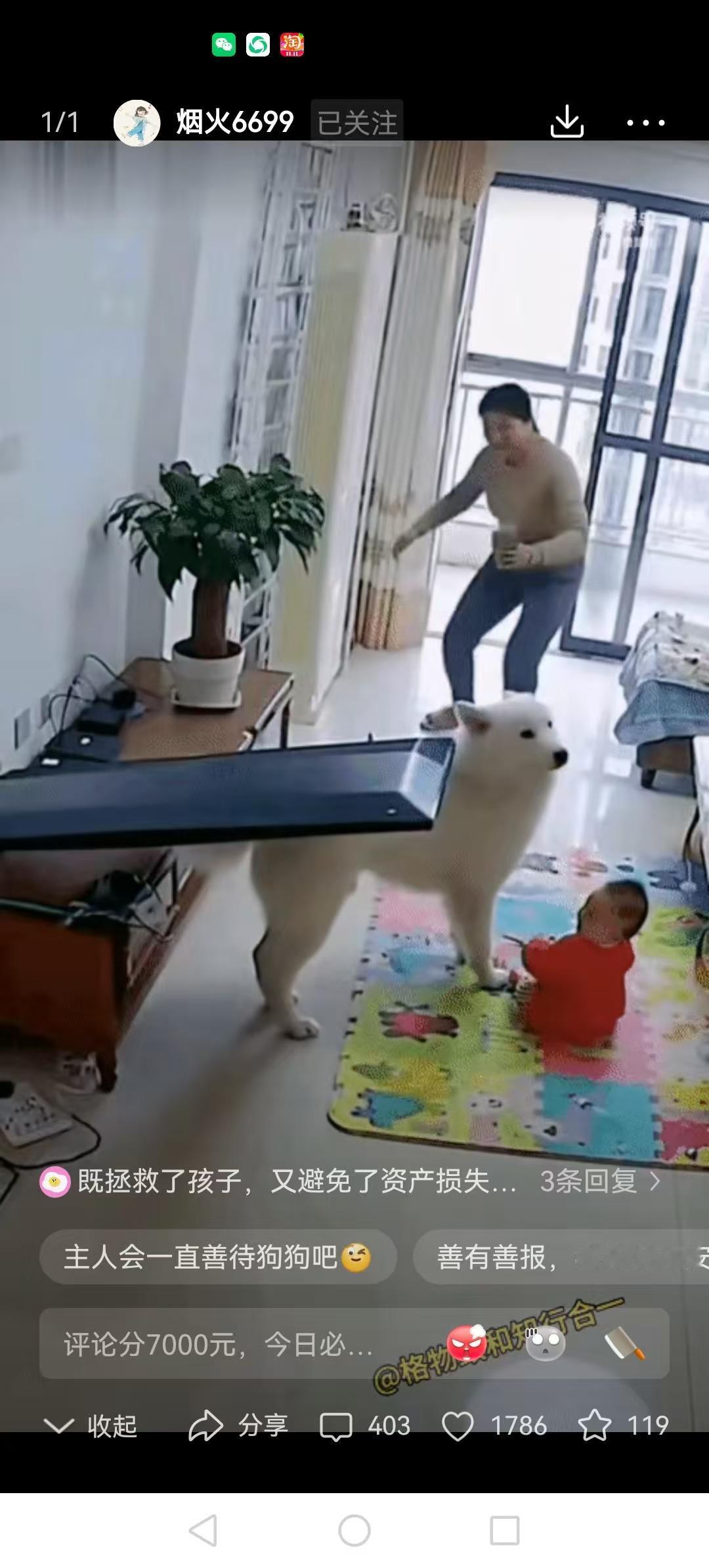 天啦！这个狗狗是来报恩的。不可思议，这哪里是狗，简直是家里的保护神，这是积了多少
