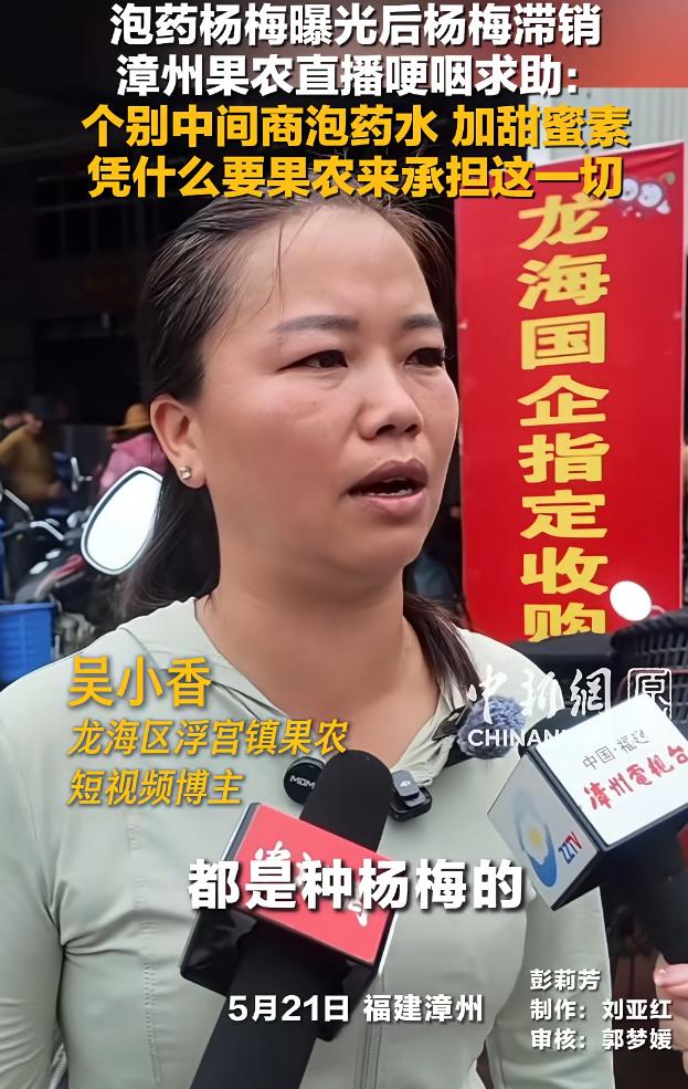 “个人中间商泡药水，加甜蜜素，凭什么要果农来承担一切？”谁能想到，一颗小小的