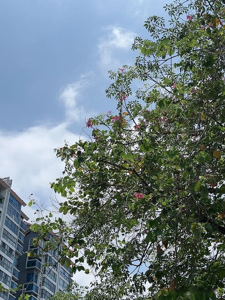 资治通鉴：人一定要有不怕死的精神，要有敢和任何人，同归于尽的心态只有如此别人