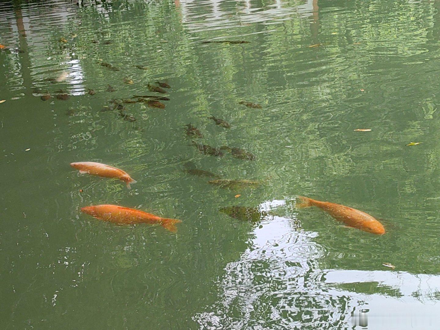 离开慢节奏的成都，除了因不可抗力和天气因素改变了个别行程，整体来说游玩得还不错，
