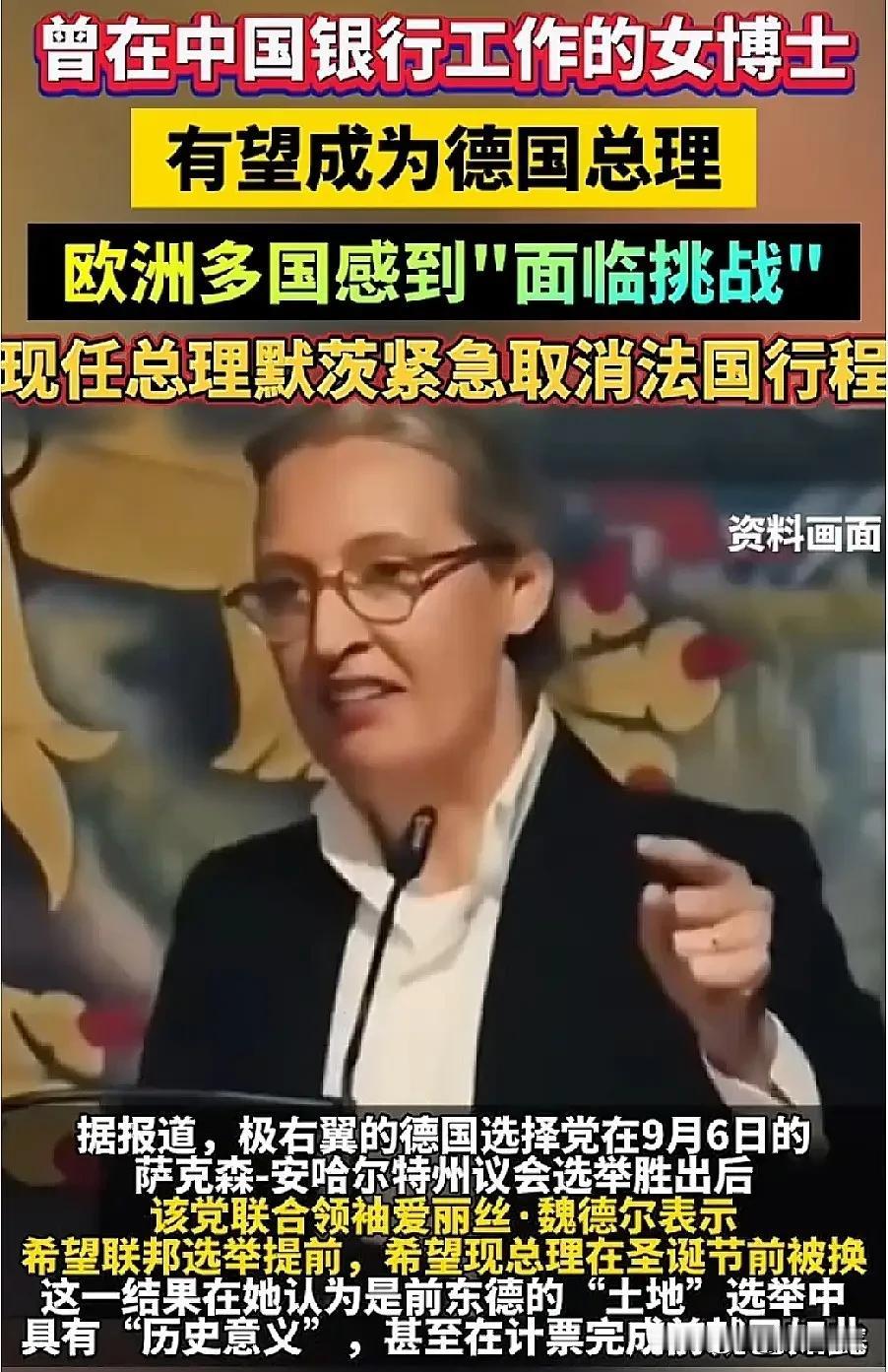 一个在中国银行上过班、北大访学过、研究我国养老金的德国女人，住在瑞士、有着斯里兰
