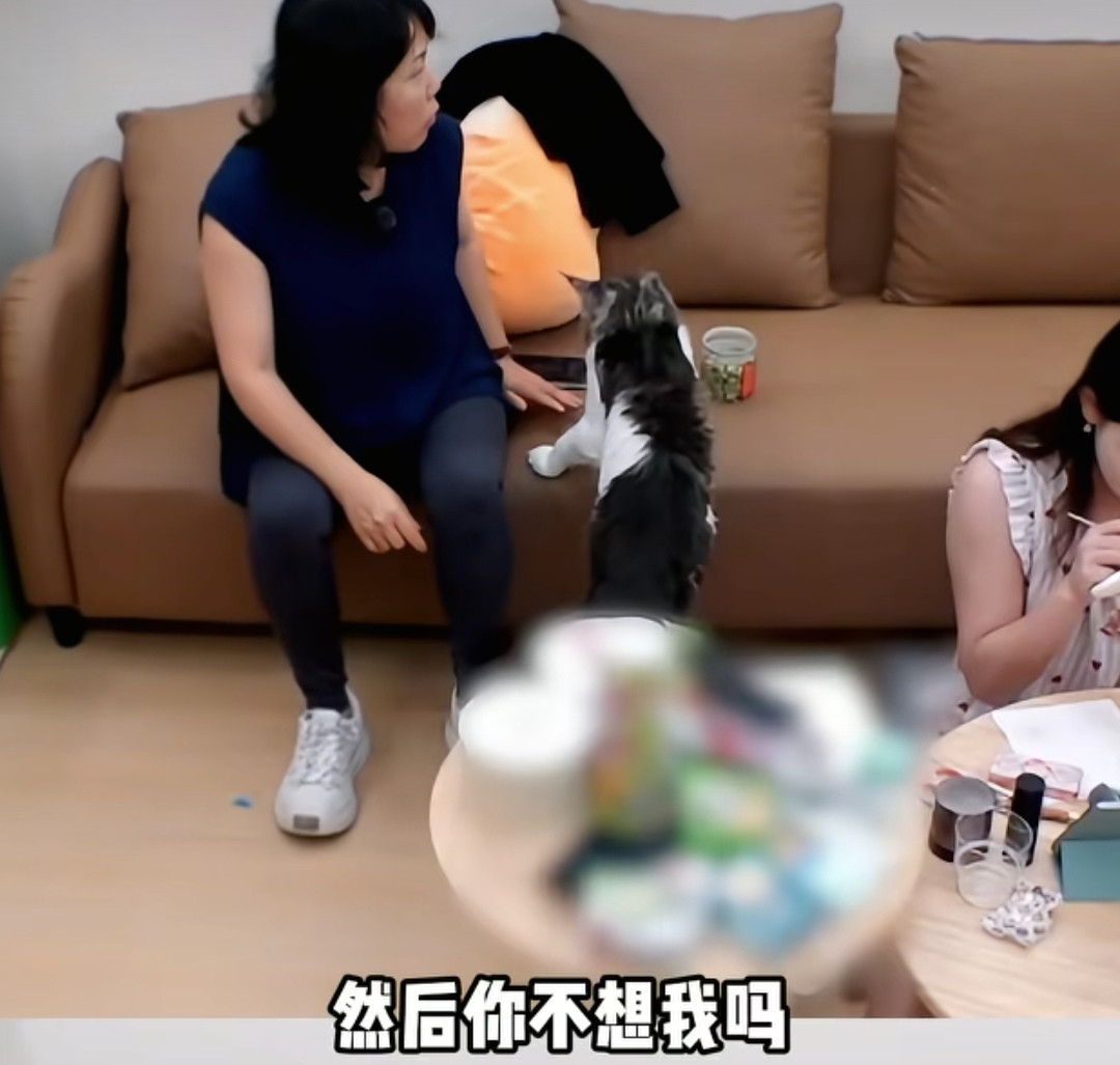 张家齐一心只想拒绝妈妈的套近乎，妈妈弄不清楚为什么张家齐不愿意跟她聊天，妈妈：“你这个家离你的公司远