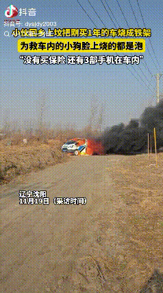 损失大了！辽宁沈阳，男子开车回乡上坟，当时车停的离坟地比较近，车门也没有关，当时