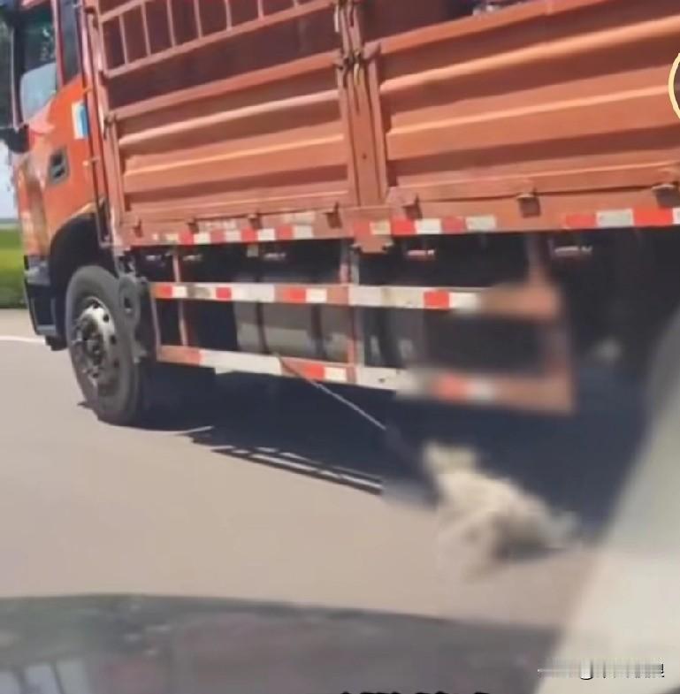 河北路段，一位女司机在后方偶遇一辆货车，货车侧边拴着一只狗狗。不知是货车司机故意