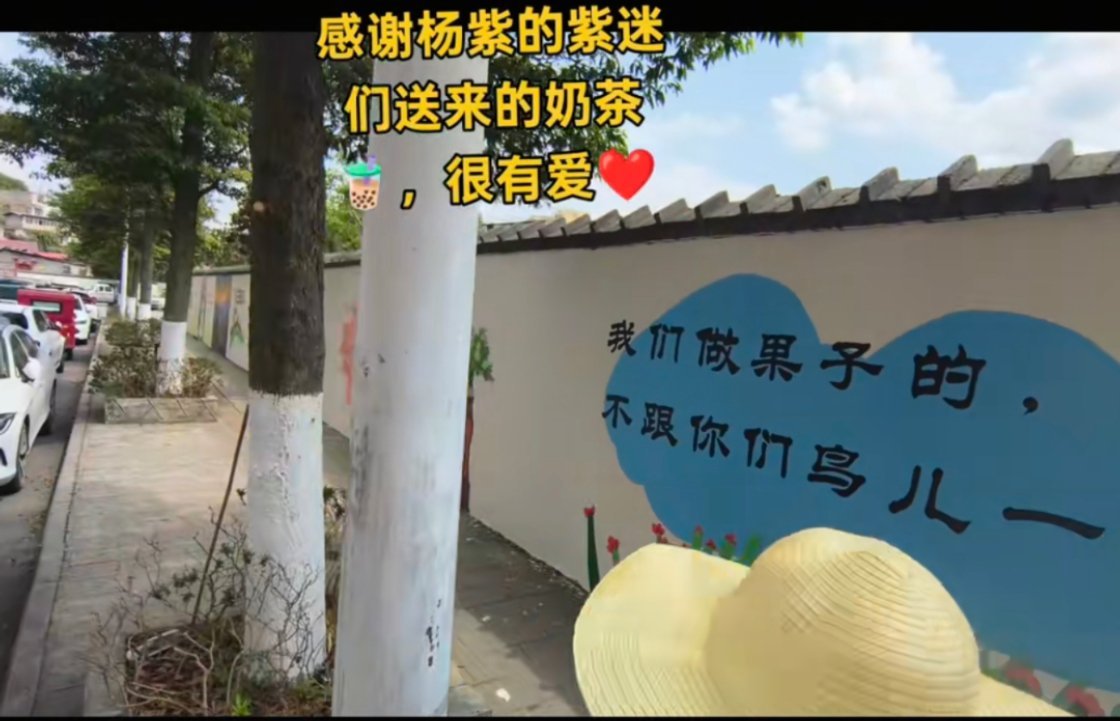 杨紫杨紫何惟芳[比心]杨紫小夭在🫘上刷到了“镇宁文化墙”的彩绘师傅，发