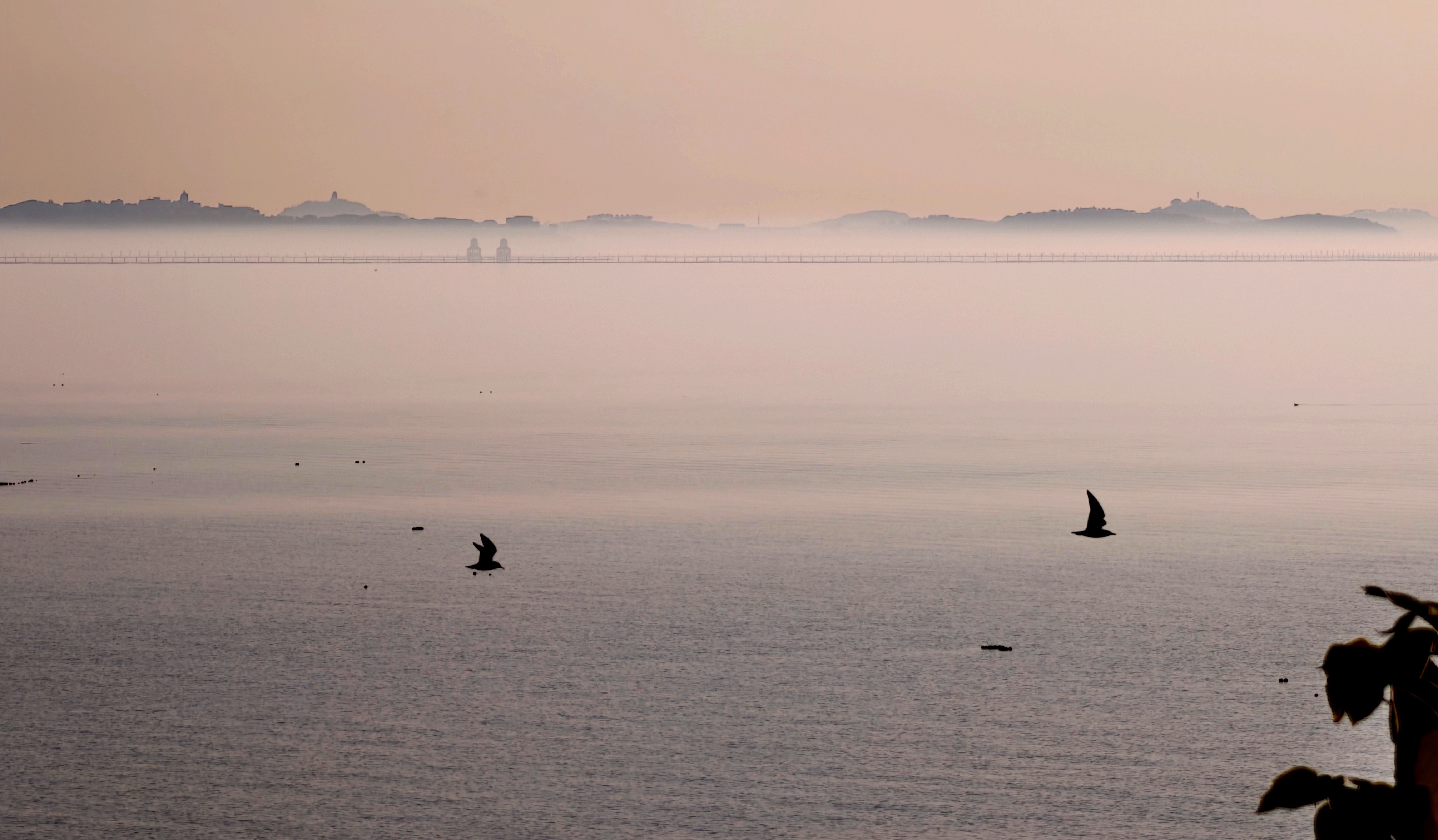 雾霾空气质量天气绝望