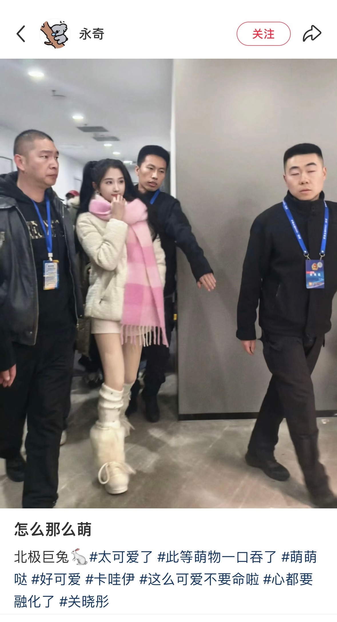 走这个风格意外的漂亮得很合天意内娱第一北极巨兔塑….