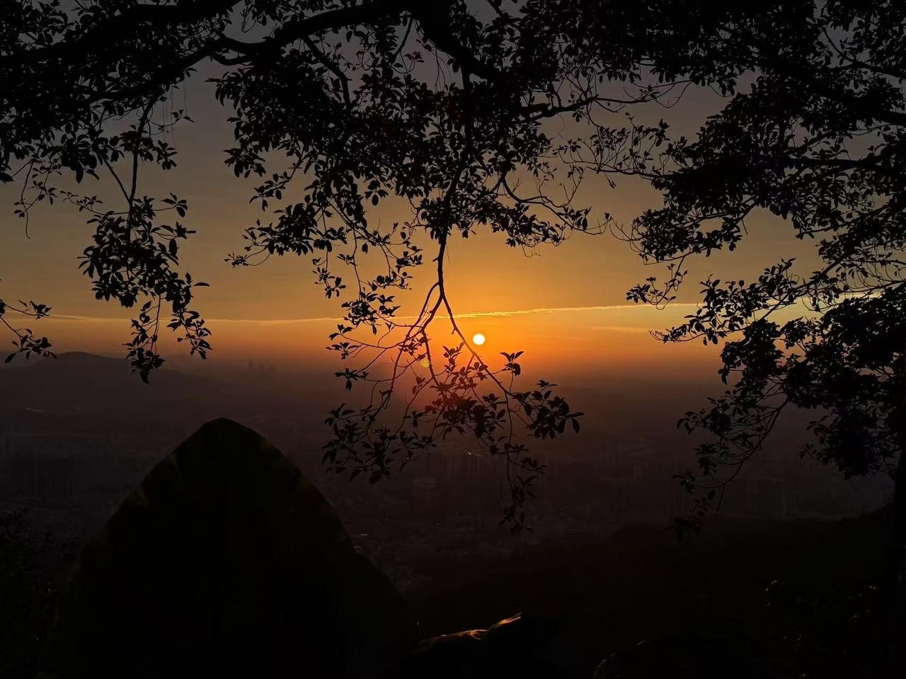 真的是太扎心了，一个农民查出癌症，啥也没说，转身就走，医生看他一脸平静，纳闷的问