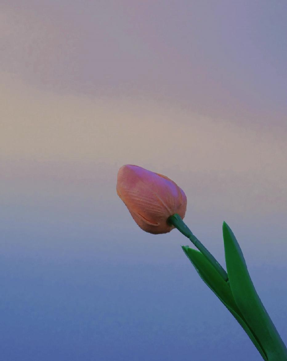 张爱玲说：“无论我们最后生疏成什么样子，曾经对你的好都是真的。就算终有一散，也