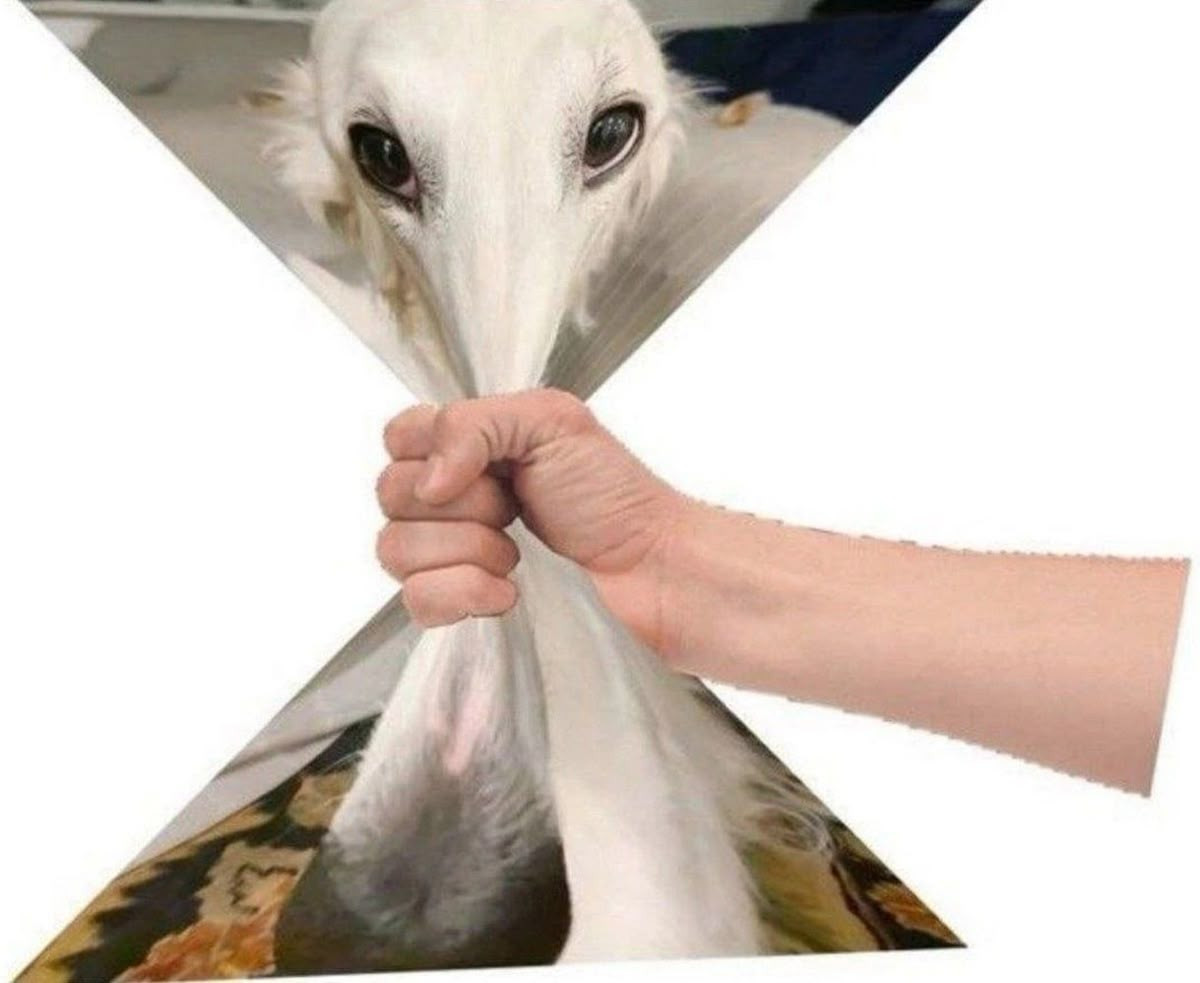 怎么这样​​​