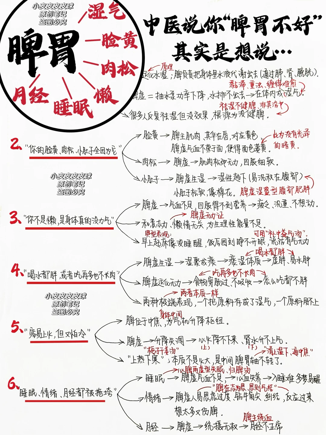中医说你“脾胃不好”其实是想说…