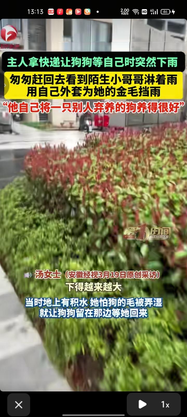 3月16日，江苏常州。汤女士称，这几天一直下雨，她趁着雨停了想出来遛狗拿快递，等