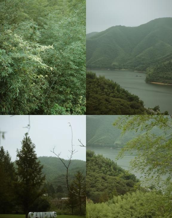 绿色里呼吸绿色生命力小杭坑安吉半日自驾游衣服穿少了匆匆忙忙就返程了但
