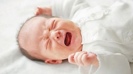 7530099166825423032.jpeg?id=0