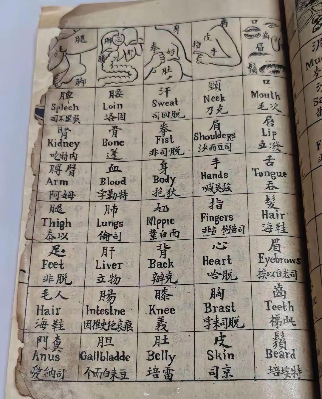 清朝原来是这样学英语的