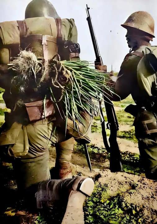 这张照片中，两名日本士兵身着军装、头戴钢盔，全副武装却不干正事——其中一人的背包