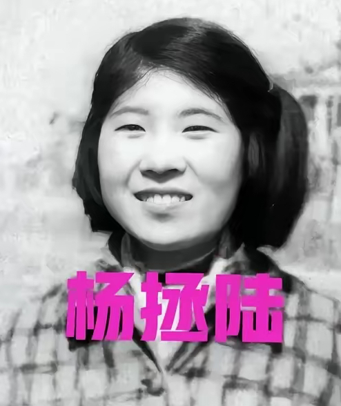 1958年，爱国将领杨虎城的女儿杨拯陆在筹备婚礼期间离奇失踪，几日后，她的尸体出