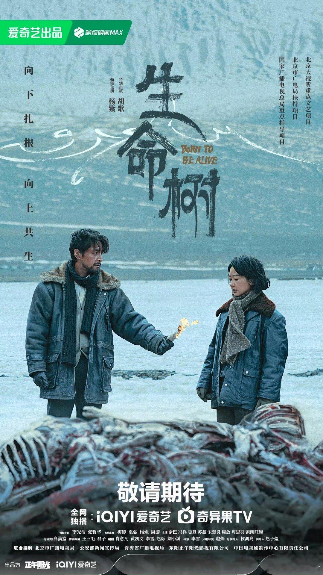 杨紫胡歌《生命树》炬火灼灼海报，燥候播出