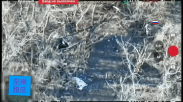 特种部队太悲催了，在扎波罗热韦尔博韦村北部，乌军第95空突旅两个残存士兵躲在一个